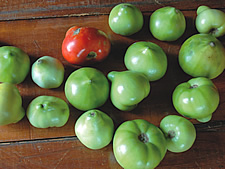 Dow aminopyralid impact on fruit crop
