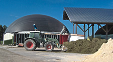 biogas for energy independence