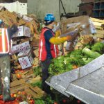 Workers separate recyclable wood boxes and food waste on the tipping floor at the Royal Waste facility in Queens.