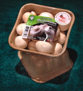Earthcycle water-resistant, home compostable packaging Earthcycle water-resistant, home compostable packaging