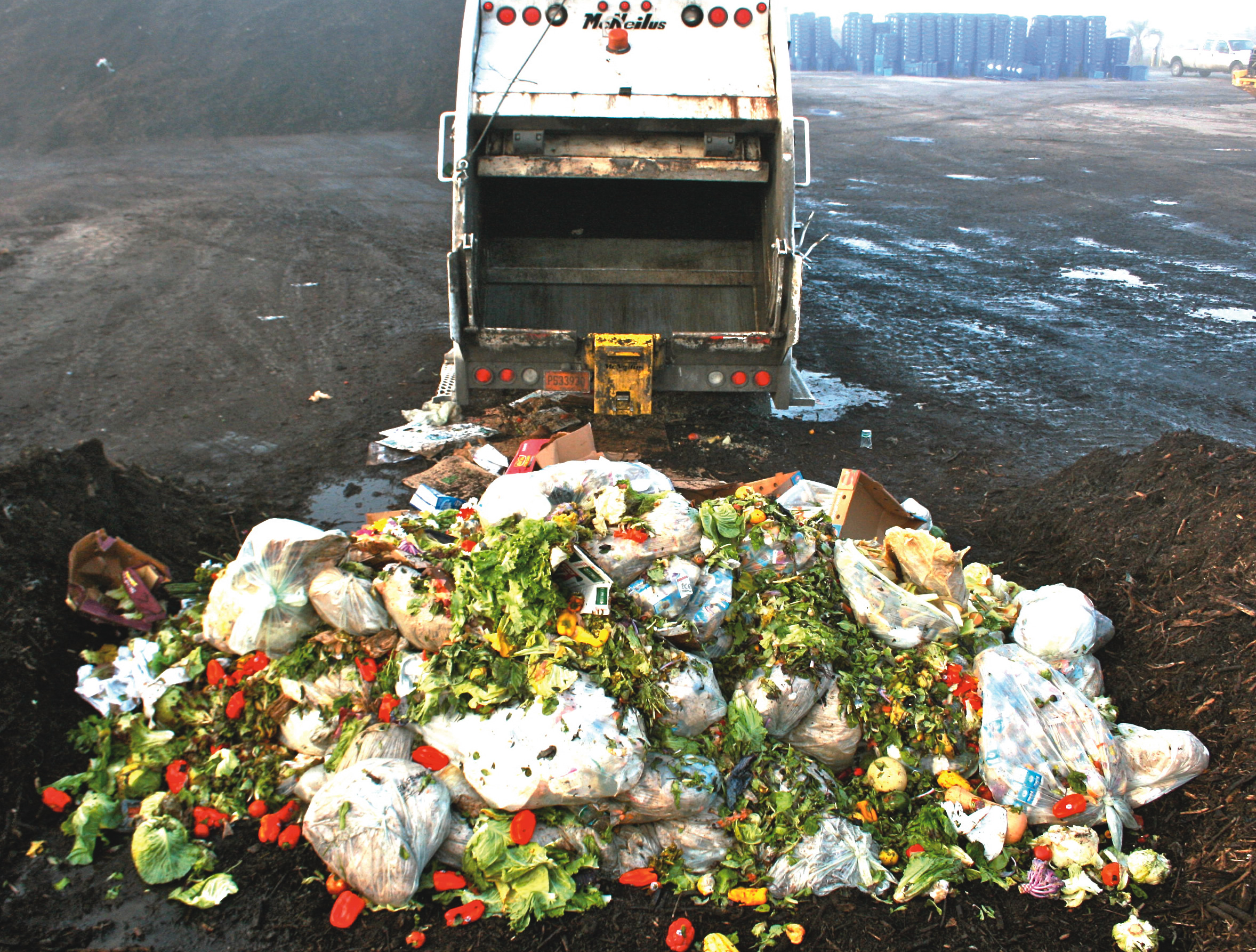 <p>全球有1/3的糧食被浪費掉</p>