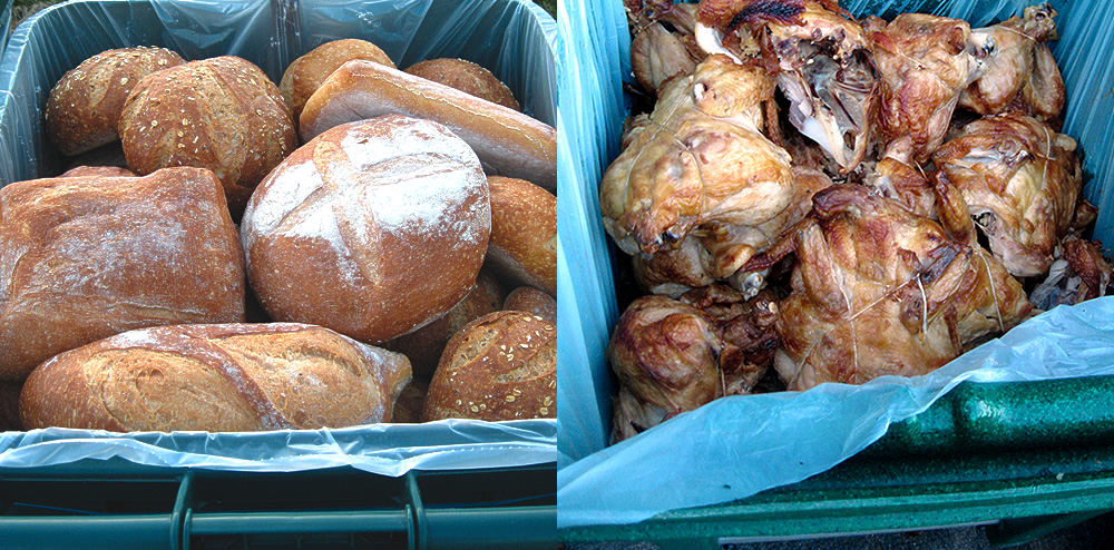 The Time Is Ripe For Food Recovery Biology Diagrams