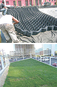 A mock-up of New York City's Lincoln Center roof was built to test the performance of growing medium prior to approval of the high-profile green roof installation. 