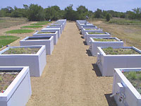 Lady Bird Johnson Wildflower Center built 24 miniature roofs to examine designs and variables that impact the performance of green roofs, versus conventional roofs.