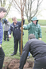 Tree planted to honor champion pumpkin grower