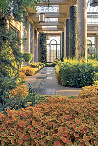 Longwood Gardens, Pennsylvania