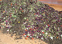 Commercial food waste pile