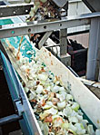 onion processing residuals