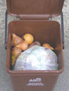 food waste curbside bin