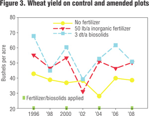 Wheat yield on control and amended plots