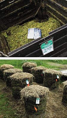 compost trials in commercially available compost bins bags