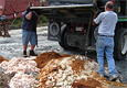 fish processing scraps and gurry