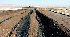 Ideal compost windrow size for biosolids, Israel