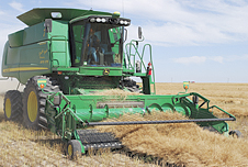 harvesting camelina, second-generation bio fuel