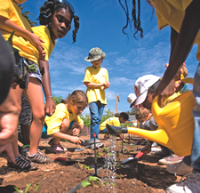 Olivewood Garden grows healthy communities