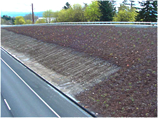 DOT compost application controls erosion