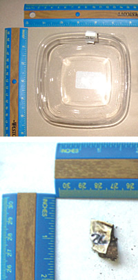 compostable container test