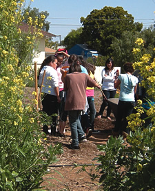 Olivewood Gardens brings kids to the garden