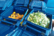 San Diego State University food waste compost