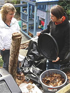 volunteers in backyard composting study