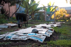 Urban farming: The Ranch at Dogtown