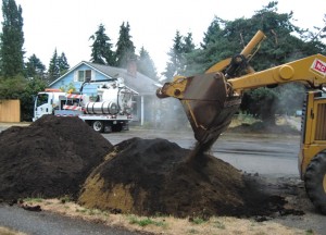 Bioretention soils