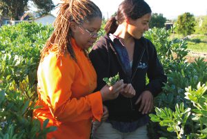 Bon Appétit farm to fork program