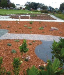 San Jose demonstration garden with compost and mulch