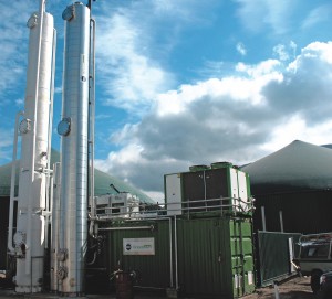 Conditioning equipment for biogas quality 