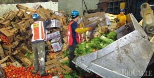 Workers separate recyclable wood boxes and food waste on the tipping floor at the Royal Waste facility in Queens.