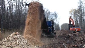 Triple G Construction utilizes a pair of Peterson Pacific 4710B grinders to process wood waste in the forest.