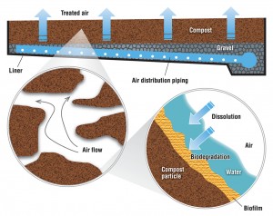 Figure 1. Biofilter cross-section