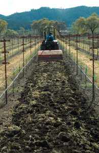 After being spread between vine rows, the compost is worked into the soil with a tractor-mounted rotovator. 
