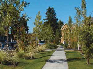 Green infrastructure enhancements as a result of the City of Seattle’s Green Streets program have increased real estate values there by 6 percent.