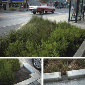 Portland, Oregon has reduced combined sewer overflows by 3.5 billion gallons/year, or 35 percent, and saved more than $300 million in gray infrastructure expansion costs by installing tools such as rain gardens that have cut outs along the sidewalk and street to direct storm water into the gardens. 