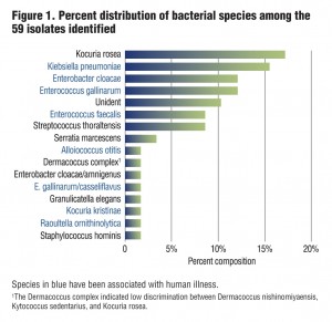 Figure 1. Percent distribution of bacterial species among the 59 isolates identified
