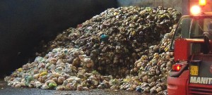 The wet AD plant in Castelleone, Italy, receives about 22,000 tons/year of source separated food waste, collected in compostable bags from households in surrounding towns.