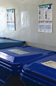 Halton Region multifamily collection bins