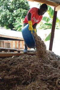 Sugarcane bagasse is added to the toilet waste at the composting sites as a bulking agent, and to absorb excess leachate and help control odors.