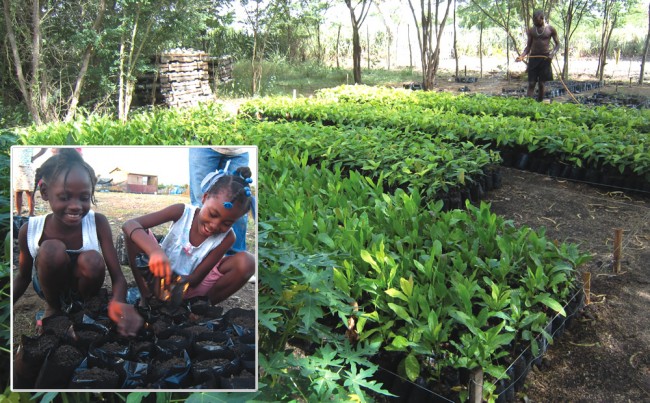 Compost is used by nonprofit organizations, such as in an agricultural program for youth (inset) and in a nursery (right).
