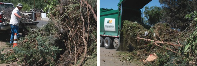 The majority of green waste coming to the composting site is self-hauled by county residents (left). A smaller amount comes from city curbside collection (right).  
