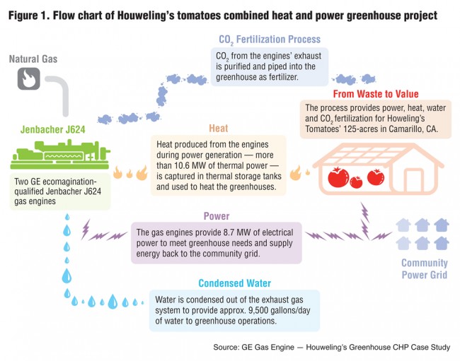 Figure 1. Flow chart of Houweling’s tomatoes combined heat and power greenhouse project