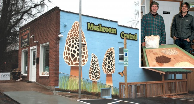 The basement of the Mushroom Central store serves as a growing room. Business owners Chris Parker (inset, left) and Joe Allawos (right) display some of the residuals from businesses in Asheville that are used as substrate to produce mushrooms. The basement of the Mushroom Central store serves as a growing room. Business owners Chris Parker (inset, left) and Joe Allawos (right) display some of the residuals from businesses in Asheville that are used as substrate to produce mushrooms.