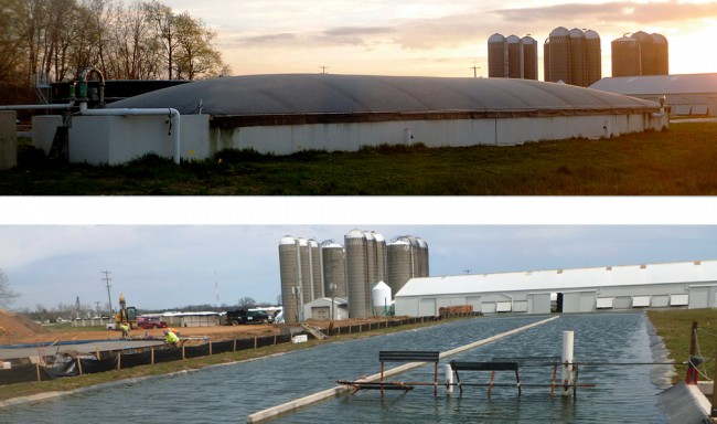 29aMSU’s 225,000-gallon capacity plug-flow anaerobic digester (top) processes dairy manure, campus food waste and nonedible eggs from the university’s poultry farm. Liquid separated from the digested solids will be the nutrient source for the algal raceways (above), which are adjacent to the digester.