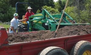Compost from Orgaworld’s source separated organics composting facility in London, Ontario is being utilized in the strawberry crop trials at Heeman’s Farm.  