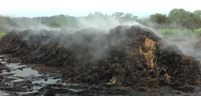 The windrow is turned 3 times a week, and maintained at temperatures in the range of 170° to 180°F for 3 to 4 weeks. Once the pile cools down, specific quantities of biodynamic herbs such as yarrow, chamomile and stinging nettle are added to “energize the pile,” notes Preston. The windrow is turned 3 times a week, and maintained at temperatures in the range of 170° to 180°F for 3 to 4 weeks. Once the pile cools down, specific quantities of biodynamic herbs such as yarrow, chamomile and stinging nettle are added to “energize the pile,” notes Preston.