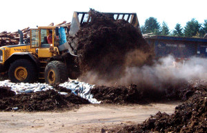 Much of the fish arrives whole, coming from offshore and onshore fisheries and hatcheries. A key to composting fish waste is use of a bulking mixture that soaks up the moisture.