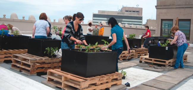 A 5,000 sq ft rooftop garden was installed on the 15th Floor of Forest City’s headquarters, located in Terminal Tower in Cleveland. Food scraps from office kitchens are composted in tumblers adjacent to the garden.