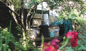 Community gardens are an integral part of the neighborhood composting infrastructure in New York City. (Photo by Nate Clark)