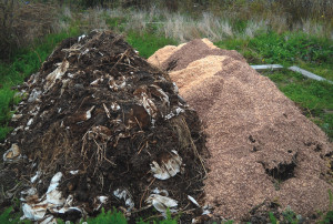 Groundz Recycling, LLC of Cincinnati, Ohio is a collection and composting service, which is working with local farms, community gardens, restaurants, the Cleveland Botanical Garden’s Green Corps Program and others to get small-scale diversion programs started.